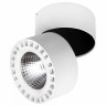 Спот Lightstar Forte IP65 381363