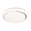 Накладной светильник Escada 10227/S LED APP