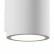 Накладной светильник Maytoni Parma C191-WL-02-W