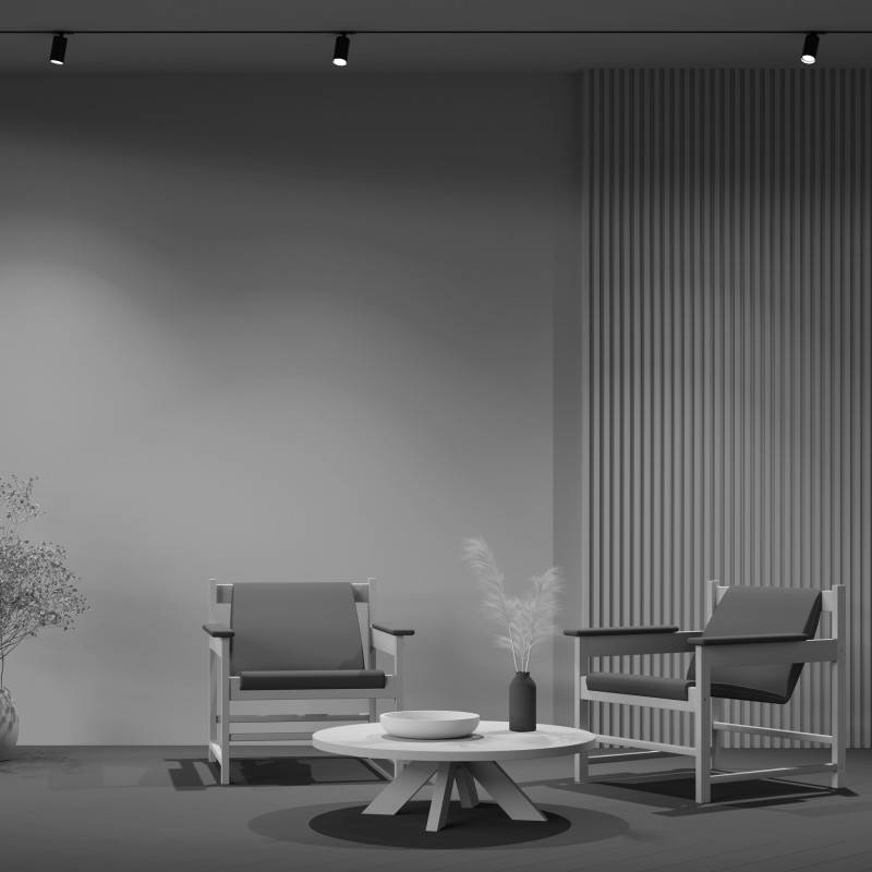 Светильник на шине Maytoni Technical TR020-1-GU10-B