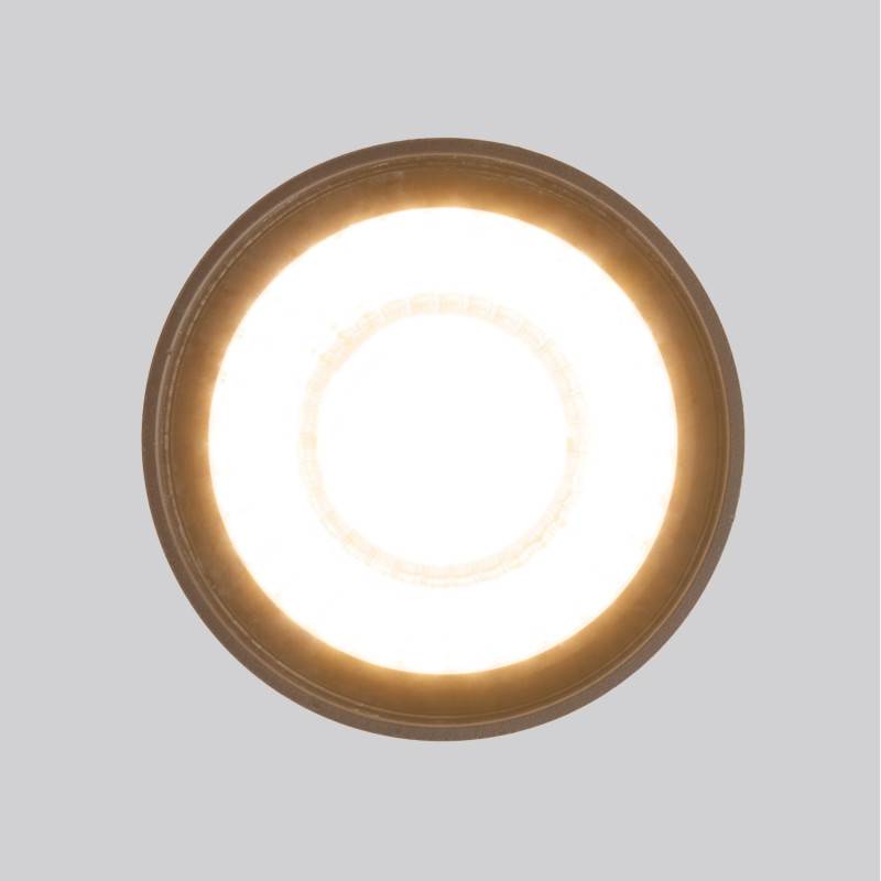 Накладной уличный светильник Elektrostandard Light LED 2105 (35132/H) черный