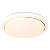 Накладной светильник Escada 10227/SG LED APP