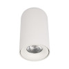 Накладной светильник LOFT IT 10220 White 4000K