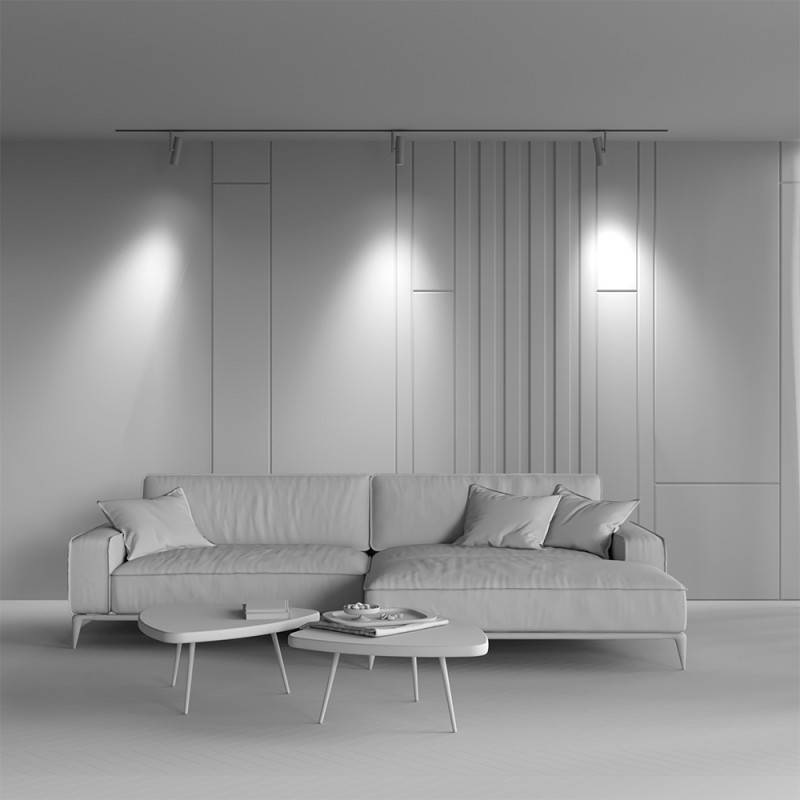 Светильник на шине Maytoni Technical TR005-2-12W3K-BW