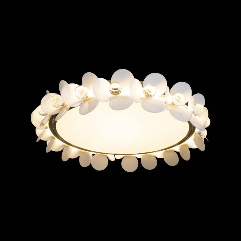 Потолочный детский светильник LOFT IT 10175