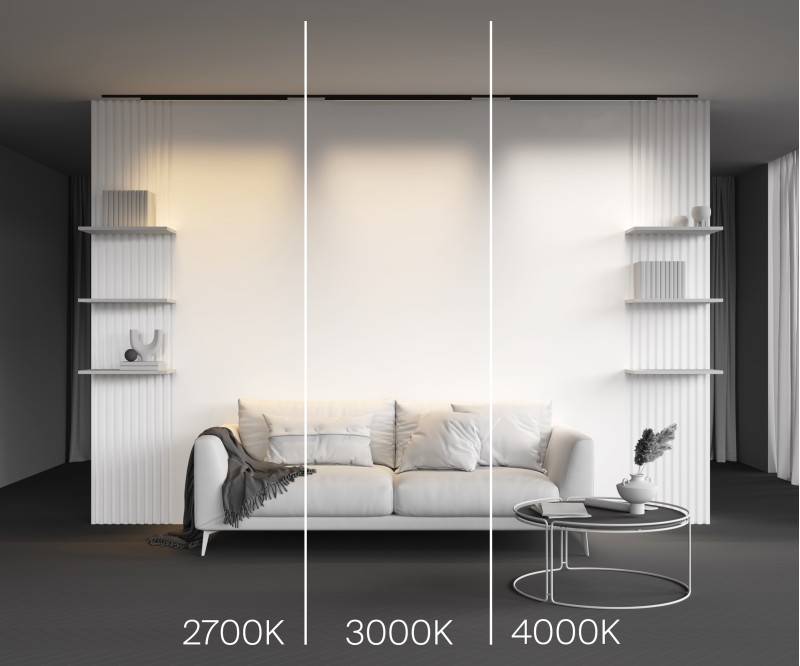 Светильник на шине Maytoni Technical TR192-1-21W2.7K-B