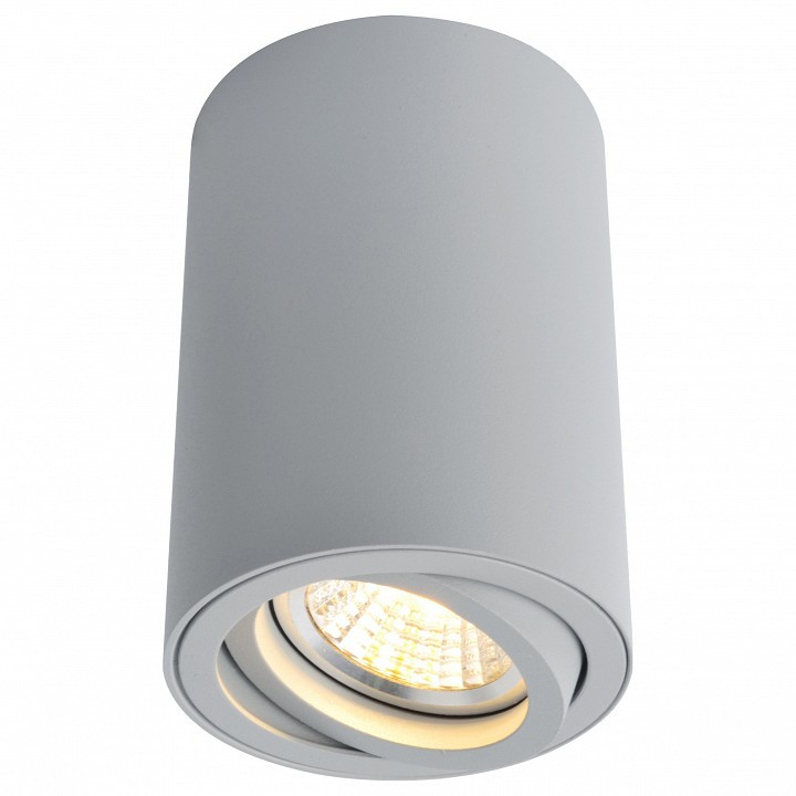 Накладной светильник Arte Lamp Sentry A1560PL-1GY