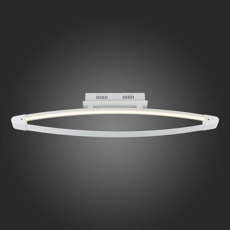 Накладной светильник ST-Luce SL920.102.01