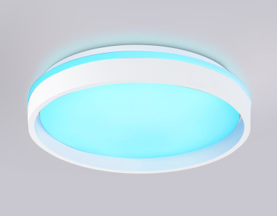 Накладной светильник Ambrella Light FZ601