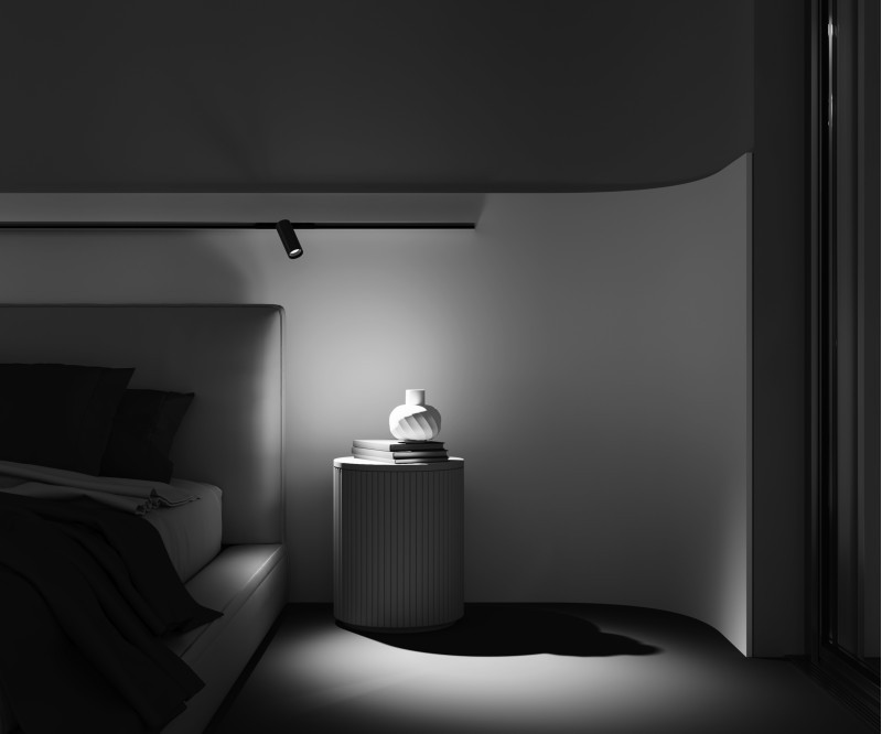 Светильник на шине Maytoni Technical TR032-2-12W3K-M-BBS