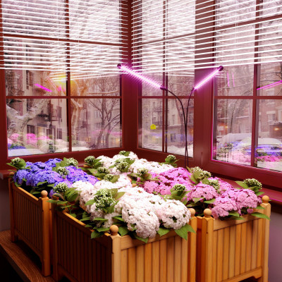 Светильник для растениеводства Elektrostandard Светильник для растений FT-005 Чёрный