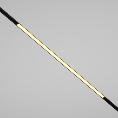 Светильник на шине Maytoni Technical TR030-2-30W2.7K-B