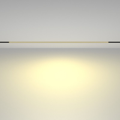 Светильник на шине Maytoni Technical TR030-2-30W2.7K-B