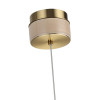Подвесной светильник Odeon Light 5453/6L