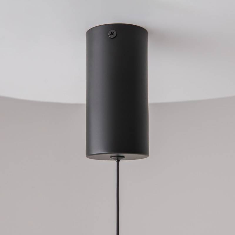 Подвесной светильник Maytoni Technical P022PL-L10B