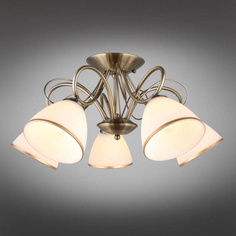 Накладная люстра Omnilux OML-25307-05