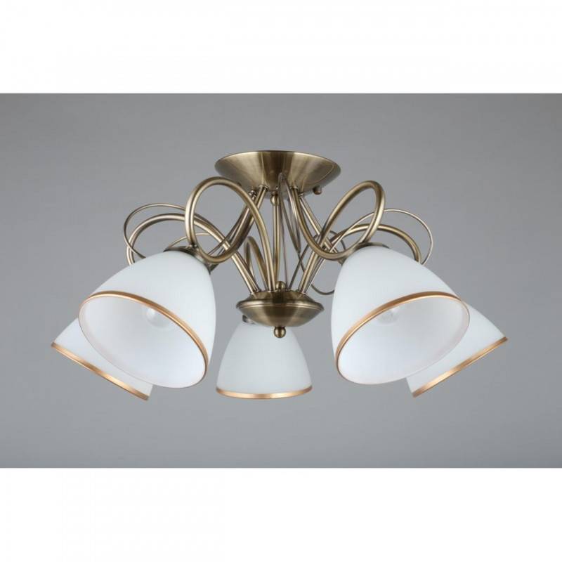 Накладная люстра Omnilux OML-25307-05