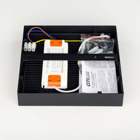 Накладной светильник Citilux Тао CL712K242