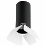 Накладной светильник Lightstar Rullo R487436