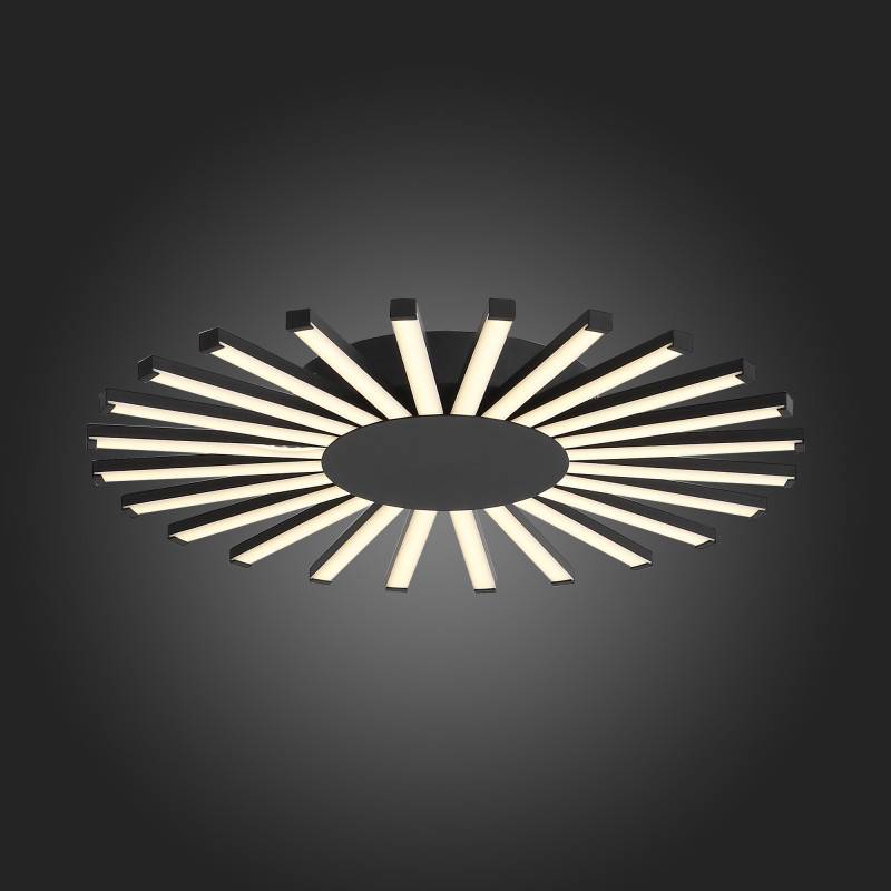 Накладной светильник ST-Luce SL839.412.24