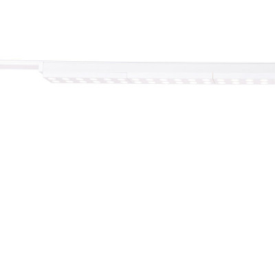 Светильник на шине Favourite 4140-2C