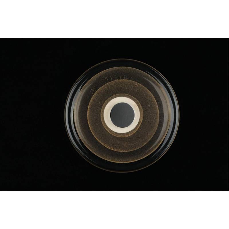 Бра APLOYT APL.350.01.03