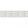 Лента Arlight 021203