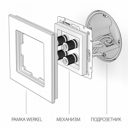 Розетка акустическая без рамки Werkel черный матовый W1185008