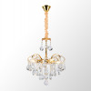 Подвесная люстра Lussole LSP-6016