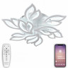 Потолочная люстра Natali Kovaltseva LED LAMPS LED LAMPS 81226