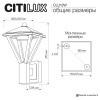 Светильник настенный Citilux CLU12W