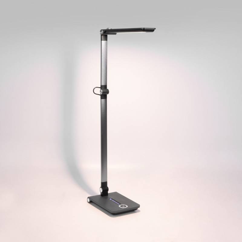 Настольная лампа Elektrostandard Great графит (TL70240)