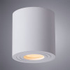Влагозащищенный светильник ARTE Lamp A1460PL-1WH