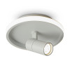 Накладной светильник Freya FR6040CL-L14W