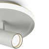 Накладной светильник Freya FR6040CL-L14W