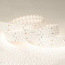 Лента светодиодная Arlight RT 2-2500 24V Warm3000 4x2 (2835, 700 LED, CRI98) 025160