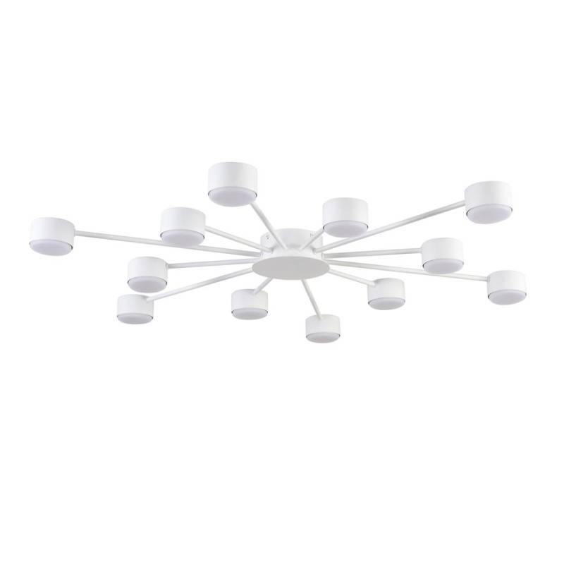 Накладная люстра LUMION 8343/12C