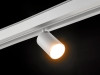 Lumker 00-00013684