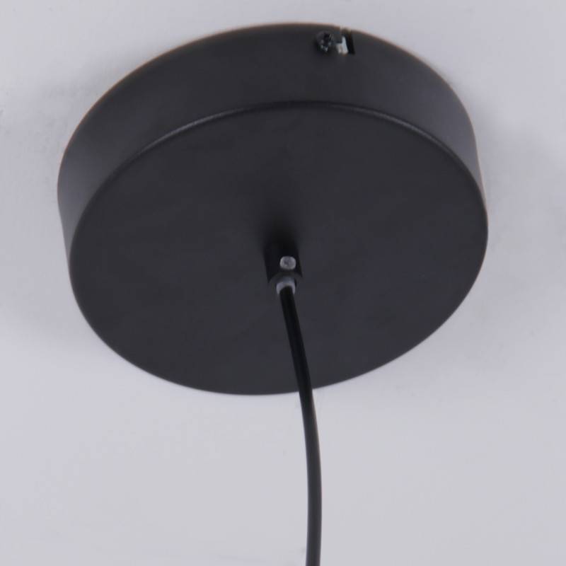 Подвесная люстра Favourite 4569-1P