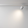 Светильник на шине Maytoni Technical TR088-1-GX53-W