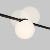 Светильник на шине Maytoni Technical TR236-1-5W3K-B