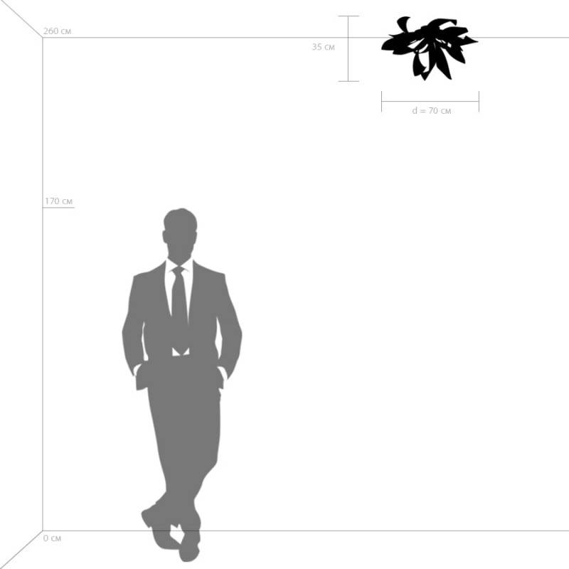 Накладной светильник Lightstar 754169