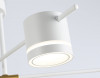 Накладная люстра Ambrella Light FL71529