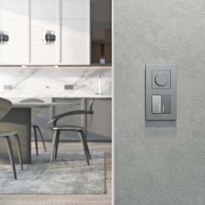 Диммеры Werkel W1142065 серебряный матовый