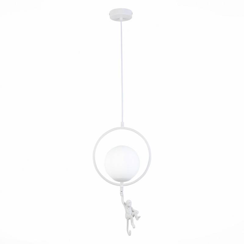 Потолочный детский светильник Evoluce SLE115113-01