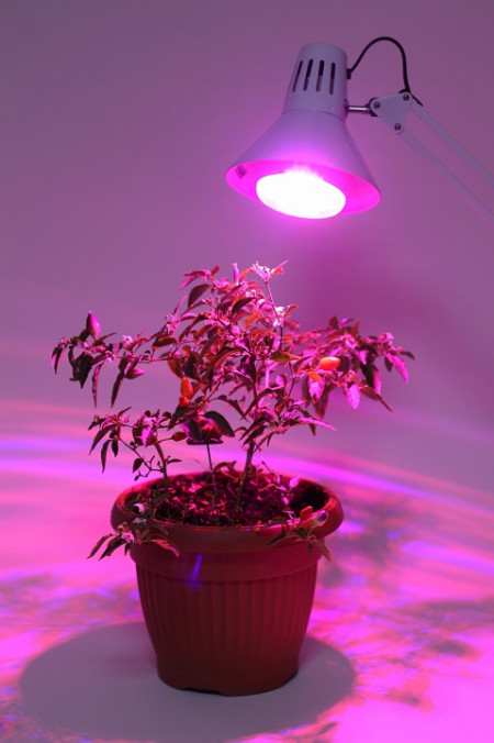 Лампа светодиодная Эра  E27 16Вт 1310K BR30-2S 11W DR/B PPF1.5umol/J Filcker 10%