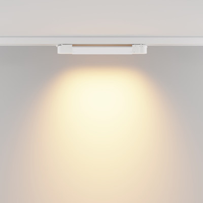 Светильник на шине Maytoni Technical TR196-3-10W2.7K-W