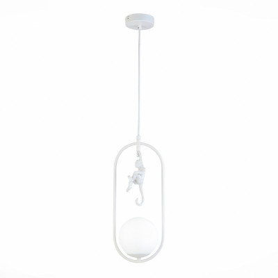 Потолочный детский светильник Evoluce SLE115123-01