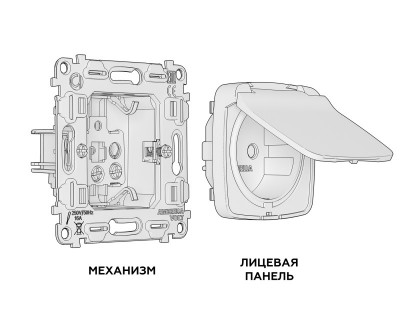 Розетка Ambrella Volt MO128010