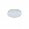 Накладной светильник LOFT IT 10002/12 White